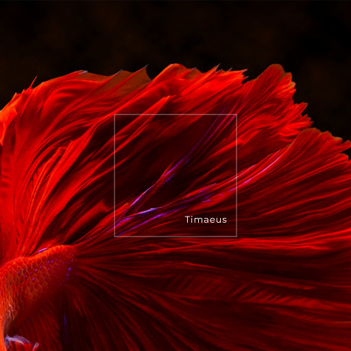 少妇人妻偷人精品无码视频
